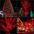 YULETIME 200 Red Christmas Lights, 2 Sets of 33 Feet 100 Count UL Certified String Lights (Red - Green Wire)