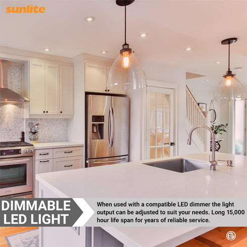40424-SU S14 Bulb, 2 (25W 200 (E26), Dimmable, 2700K 6 Count Sunlite LED Filament Style String Light ETL Listed, Watts