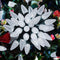 C9 Christmas String Lights Outdoor 50 Feet Led Christmas Lights, 50+2(Spare) Strawberry