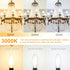 10 Pack Cotanic E12 LED Bulb, Dimmable 3000K Soft White, 60Watt Equivalent, Small Base Type B Candle Shape Chandelier