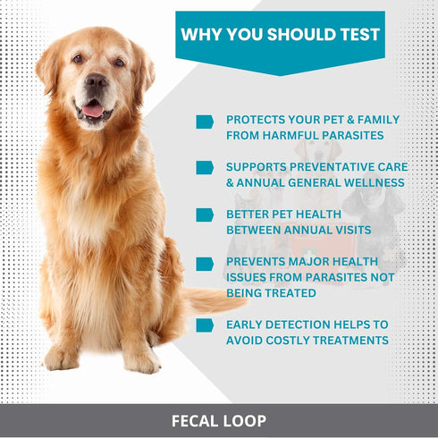 Fecal Loop for Small and Medium Animals, Stool Sample Collection Kit for Quick and Easy Sampling