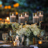 6Pack 2"X3" w/4 Timers+2 VIODAIM Glass Flickering Flameless Candles with Remote, Real Wax Votive Candles Battery