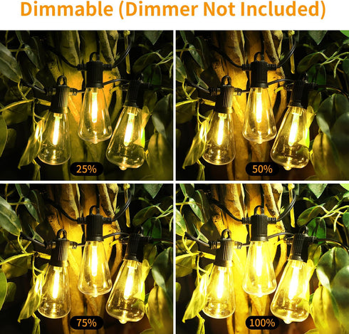 50 Bulbs 27 ST38 Bulbs (2 IP65 Dimmable 2700K ZOTOYI Outdoor String Lights FT, Patio with LED Plastic Edison Spare)