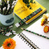 Chivao 50 Pack Camouflage Tactical Pencils, Camo Party Favors, Army Decorations for Teachers School Supplies
