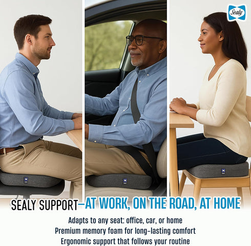 Tailbone Sealy Memory Foam Seat Cushion for Car and Office Chairs Pain Relief, Posture Support, and Comfort for Home