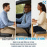 Tailbone Sealy Memory Foam Seat Cushion for Car and Office Chairs Pain Relief, Posture Support, and Comfort for Home