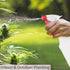 DilaBee Plastic Spray Bottles, Empty Leak Proof Spray Bottles for Cleaning Solutions, Hair, Alcohol, Bleach, Plant,