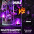 2 Pack 2 Pack) Jyoiat Solar Flame Lantern Hanging Outdoor Waterproof Purple - Flame Lanterns with Dual Charging Modes