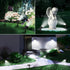IP65, 3 2 Pack) Linkind Solar Lights Outdoor Waterproof StarRay Dusk-to-Dawn Outdoor Solar Lights, Lighting Modes Solar