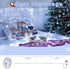 300Led 99FT Dimmable Decute Silver Wire Christmas Fairy String Lights with Remote Control Starry Lights with UL