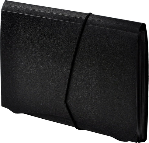 Lion 13-Pocket Small Expanding File, 5-3/4 x 8-1/2 Inches, Black, 1 File (94300-BK)