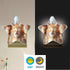 Burbuja 0.2W Cute Cat LED Night Light Plug into Wall Star-Shaped Nightlight Dusk to Dawn Auto Sensor for Bedroom