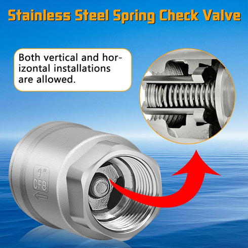 Boltigen 1 Inch Spring Check Valve, 304 Stainless Steel Non Return Horizontal Water Check Valve for Well