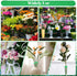 Ouligay 30 5.7 Inch PCS Flower Water Tubes Floral Water Tubes for Fresh Flower Stem with Caps, Plastic Green, Single