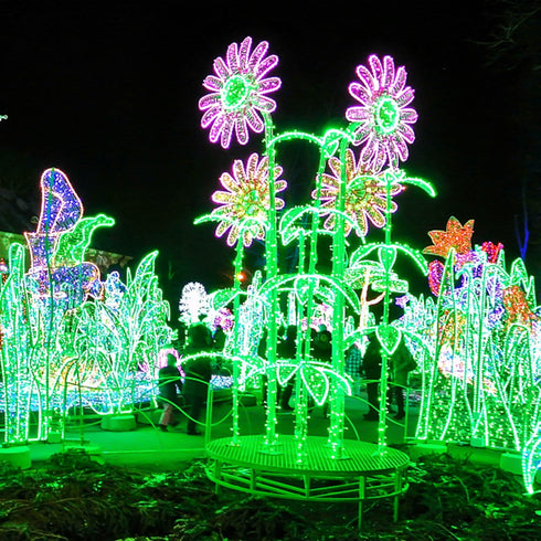50 16 8 1 Pack LJLNION St. Patricks Day String Lights Outdoor, LED FT Shamrocks Decorative Green Leaf Lights Battery