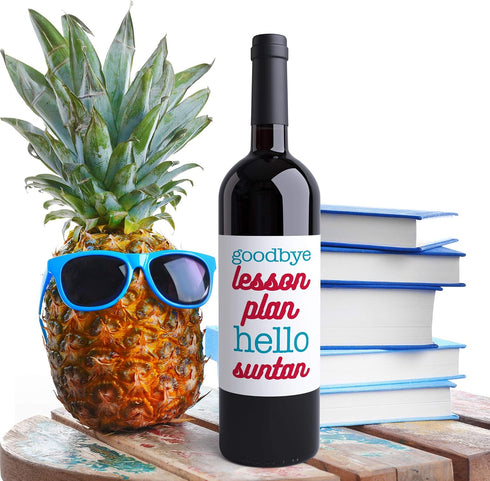 4 Summer Funny Teacher Gifts Wine Bottle Labels End of School Year | Goodbye School Hello Pool | Peace Love & Break |