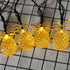 SNOMYRS Solar String Lights Outdoor 13Ft 20 LED Solar Pineapple String Lights with 8 Lighting Modes Fairy Lights for Garden Yard Lawn Patio Party Grass Decor (Warm White) by SNOMYRS
