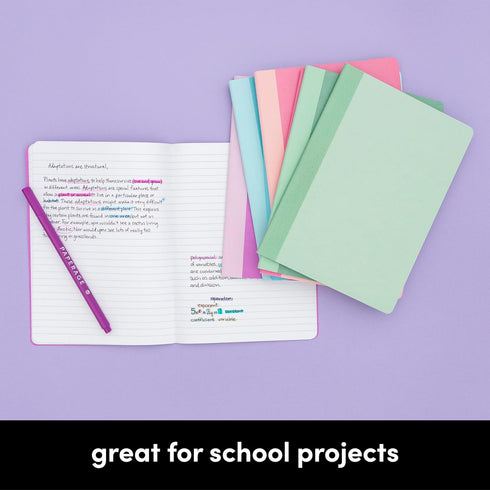 PAPERAGE Small Composition Notebook Journals, 32-Pack, 60 Pages, 4 Color Covers, 5.75 in x 8 in