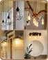 EDISHINE Vintage LED Edison Bulbs 6 Pack, 8W Equivalent 60W, ST64 Dimmable 700LM 2700K Warm White E26 Base