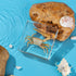 Hudirgo Taxidermy Fiddler Crab in Resin - Real Taxidermy Animals Have Unique Collection Significance, Oddities Gifts