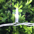 100 Commercial 35 LED White Christmas Lights, UL Certified and Grade White Wire String Lights FT, for Indoor