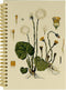 Plant Journal Notebook Aesthetic, Pretty 5.5×8.3 Spiral Bound Notebook with 164 Pages, College School Supplies Aesthetic