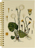 Plant Journal Notebook Aesthetic, Pretty 5.5×8.3 Spiral Bound Notebook with 164 Pages, College School Supplies Aesthetic