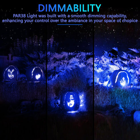 Gonhom 2 Pack PAR38 Bulbs, Dimmable, 20W, E26 1800 Blue Led Light Base, Outdoor Indoor, Christmas Lighting, LM, Long
