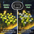 L LAMPOP (2-Pack, 12 Solar Outdoor Lights LEDs), Solar Garden Lighting, Outdoor Decorations, Daisy Light for Backyard