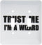 3dRose lsp_195659_2 Trust me Im a Wizard Funny Ironic Humorous Fun Joke Irony Double Toggle Switch by 3dRose