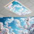 2 Pack Fluorescent Light Covers- 4" X 2" Magnetic Ceiling Light Cover
