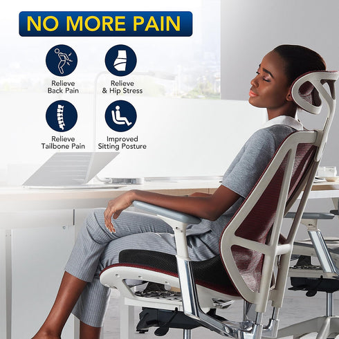 Seat Cushion for Desk Chair, Memory Foam Cushion for Hip Tailbone Pain Relief, Ergonomic Patented Office Chair Cushion
