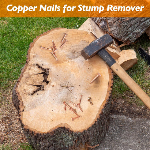 Copper Nails – 1 Inch Roofing Nails 110pcs, 99.95% Pure Copper for Roof, Flashing, Landscaping & Crafts