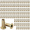 AOKLIT 100Pcs Multi-Grip Rivet-Nuts, 1/4-20 Rivet Nut Steel Pre-Bulbed Shank, Plus Nut Color
