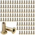 AOKLIT 100Pcs Multi-Grip Rivet-Nuts, 1/4-20 Rivet Nut Steel Pre-Bulbed Shank, Plus Nut Color