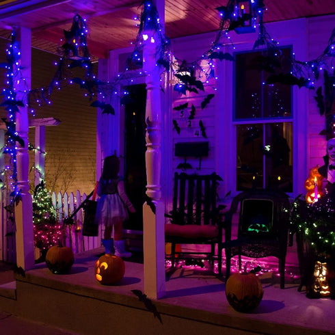 Dazzle Bright Fairy String Lights, 20 FT 60 LED Copper Wire, Battery Operated Waterproof Lights for Halloween Decor