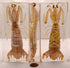 5.5" Real Mantis Shrimp in Crystal Clear Lucite Resin Specimen Preserved Oratosquilla Oratoria Sea Marine Animal