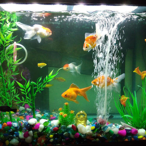 10ft 4mm(0.16") ID x 6.4mm(1/4") OD Black Silicone Tubing, Industrial Plastic Hoses for Pump Siphoning