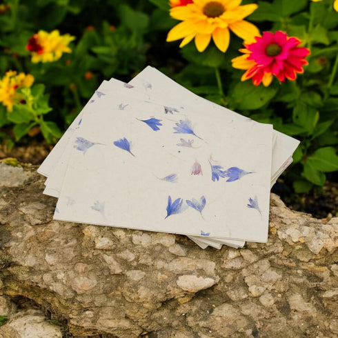 Kathmandu Valley Co. Nepali Cherish Greeting Card & Envelope Box Set, 15 Cards, Handmade Lokta Paper