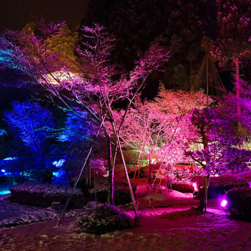 800W 8000LM 2700K Timing,IP66 3-Plug LED Flood Light Outdoor, Equivalent Smart RGB Stage Lights, Bluetooth RGB