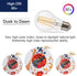FLSNT Dusk to Dawn Outdoor Sensor A19 LED Edison Bulbs 2 Pack, 7W (60W Eqv.), 800LM, Vintage Filament