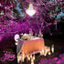 JMEXSUSS 2 Pack Pink Solar Christmas Lights - 33ft 100 LED Waterproof String Lights for Outdoor Decorations