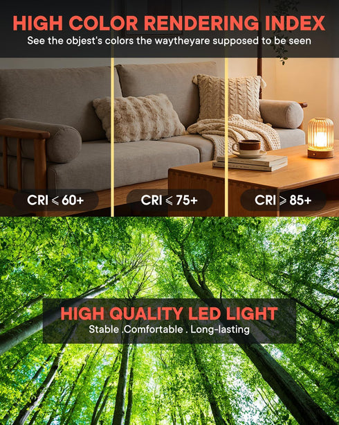 3 Pack E12 C7 C37 Bulbs Kx-2000 Bulbrite 7W 70W 700LM AC120V 6000K) LED Candelabra Chandelier Fan Light Replacement
