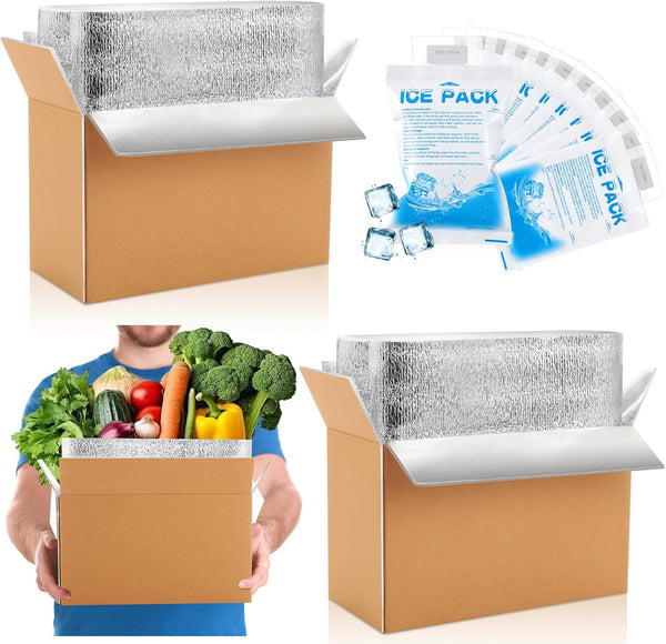 Honoson 2 Pcs Thermal Insulated Shipping Boxes for Frozen Food with Ice Pack