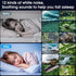 Speaker,12 Jellyfish Lamp with Bluetooth White Noise Changing Night Light,Sensory Aquarium LED Table Lamp for Autistic