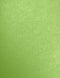 LUXPaper 8.5" x 11" Paper, Letter Size, Fairway Metallic, 80lb. Text, 50 Qty