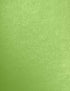 LUXPaper 8.5" x 11" Paper, Letter Size, Fairway Metallic, 80lb. Text, 50 Qty