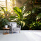 QZLITHOTIC Custom Size Wall Mural Botanical Green Fiddle Leaf Fig Sunlight Indoor Garden