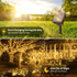 2 Pack 92FT 240 8 Solar String Lights Outdoor - Total LED Solar Christmas Lights Outdoor Waterproof with Lighting Modes