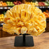 Gralara Kitchen Fruit Display Stand - Stylish Vegetable Rack Organizer